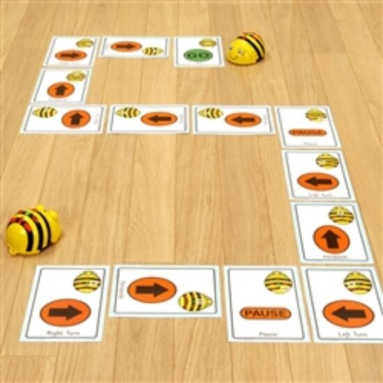 Bee Bot Cards Giant Sequencer-preview.jpg